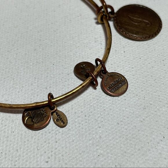 Alex and Ani and Chrysalis crown, lotus, OM, aquamarine charm Bracelet lot - Picture 7 of 13